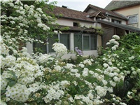 9363acd9-Picture 031.jpg